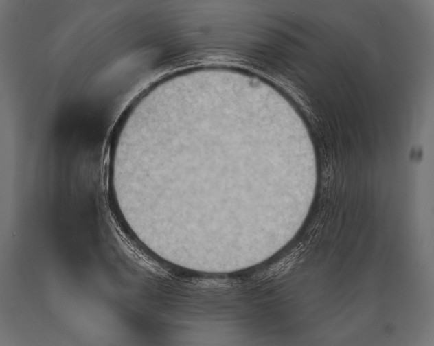 X0000088861126200706291511