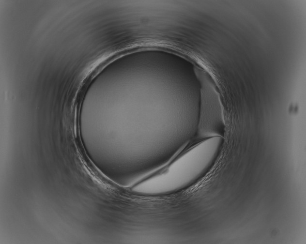 X0000088861127200706291511
