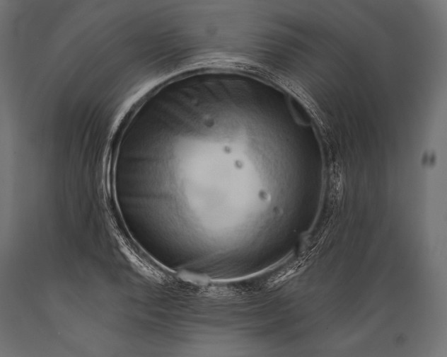 X0000088861128200706291511