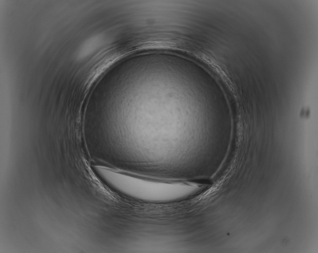 X0000088861129200706291511