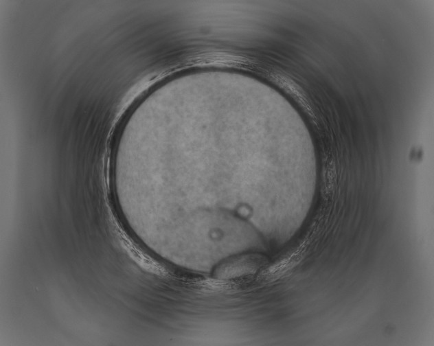 X0000088861130200706291511