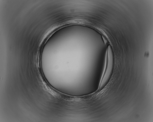 X0000088861131200706291511