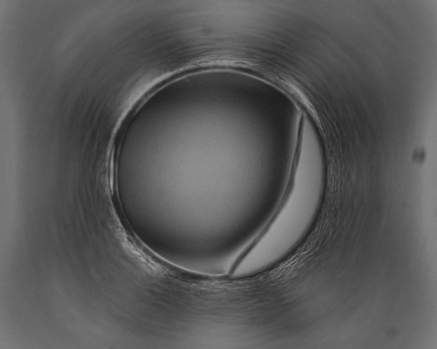 X0000088861132200706291511