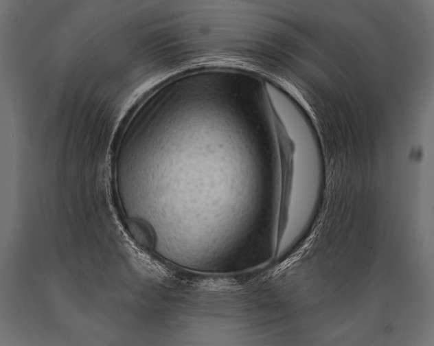 X0000088861133200706291511