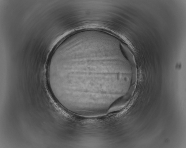 X0000088861134200706291511