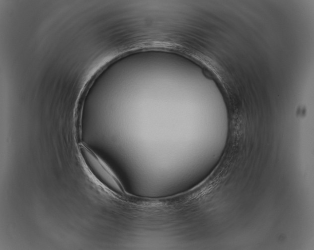 X0000088861135200706291511