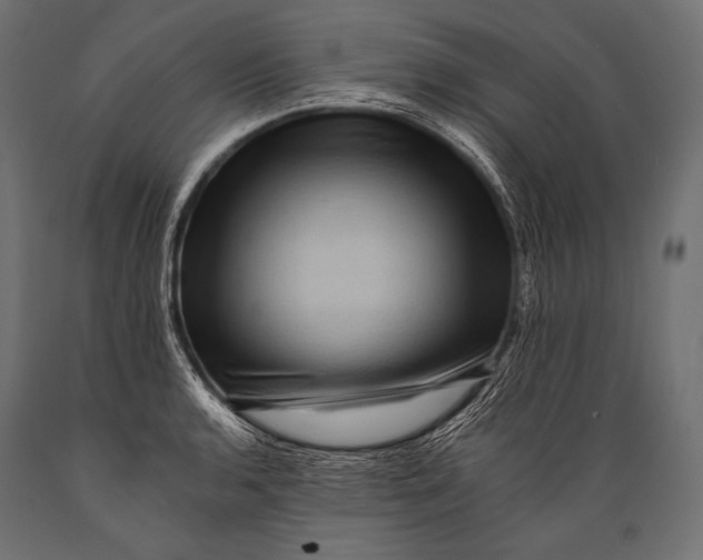 X0000088861136200706291511