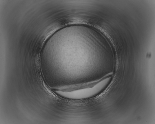 X0000088861137200706291511