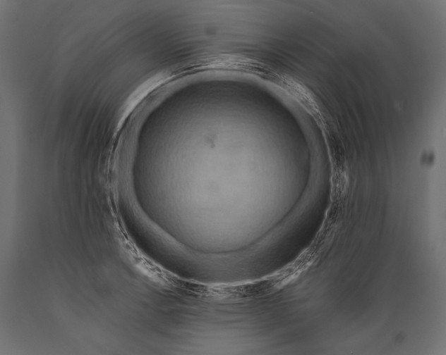 X0000088861138200706291511