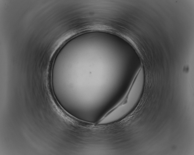X0000088861139200706291511