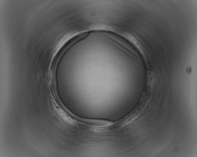 X0000088861140200706291511