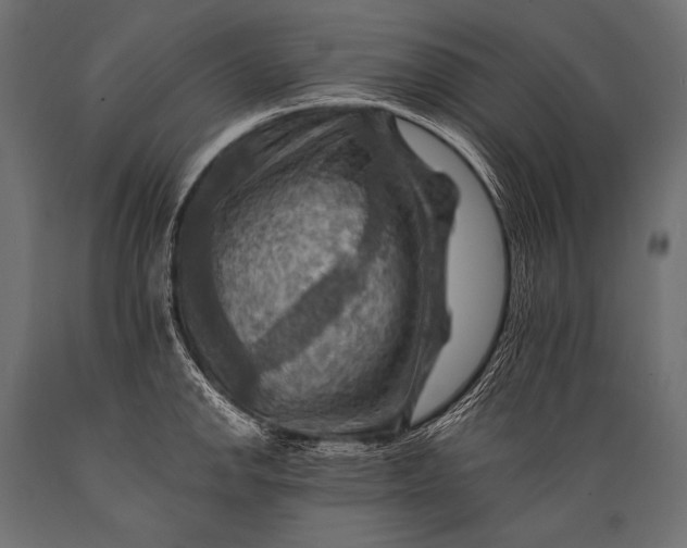 X0000088861142200706291511