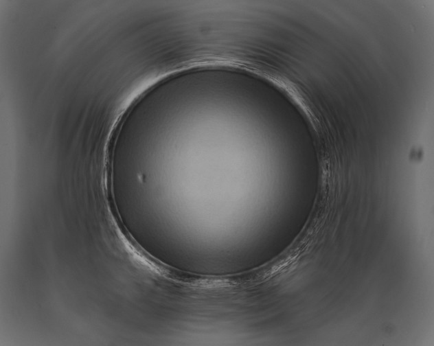 X0000088861143200706291512
