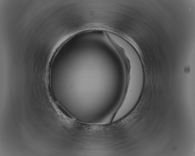 X0000088861144200706291512