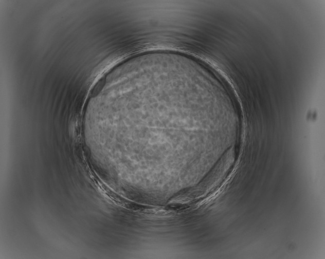 X0000088861145200706291512