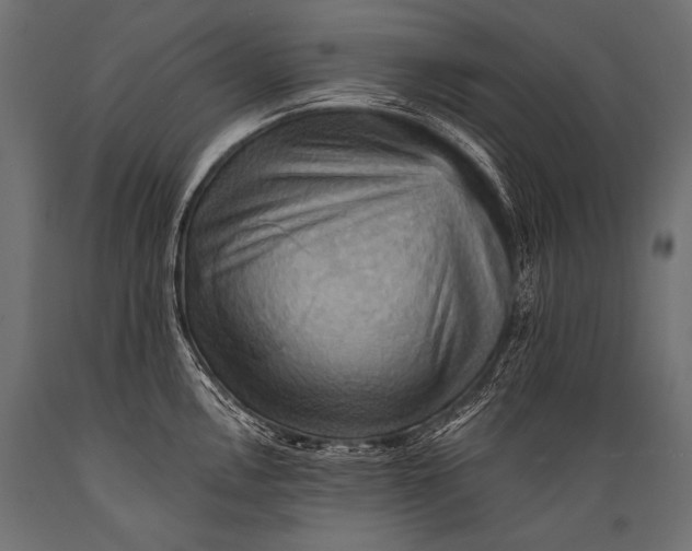 X0000088861146200706291512