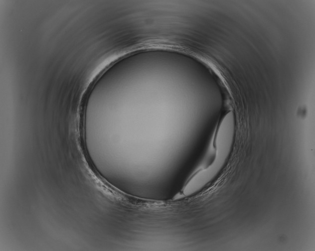 X0000088861147200706291512