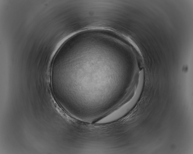 X0000088861148200706291512