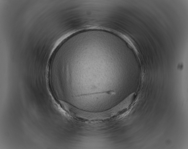X0000088861149200706291512