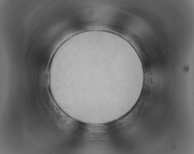 X0000088861150200706291512