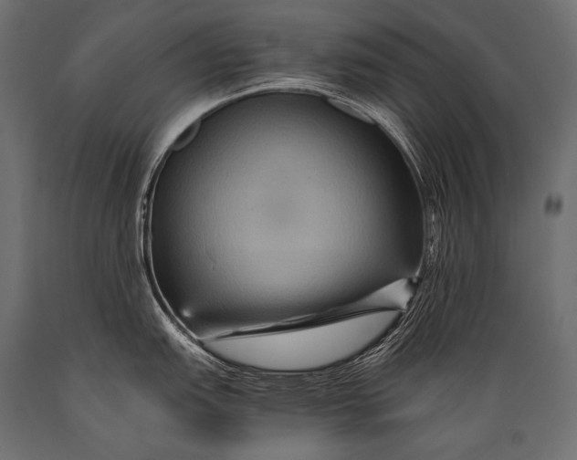 X0000088861151200706291512