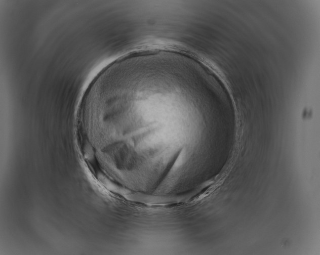 X0000088861152200706291512