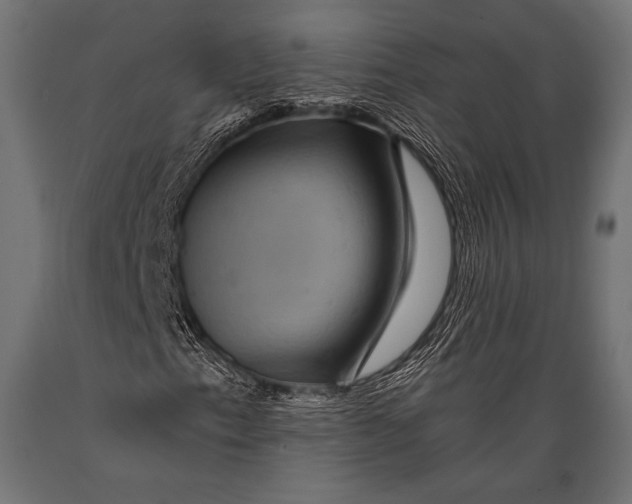 X0000088861153200706291511