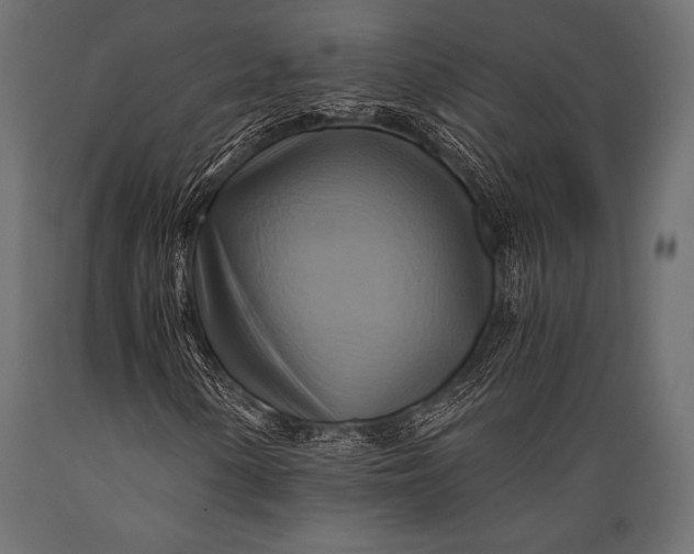 X0000088861154200706291511