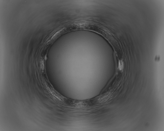 X0000088861155200706291511