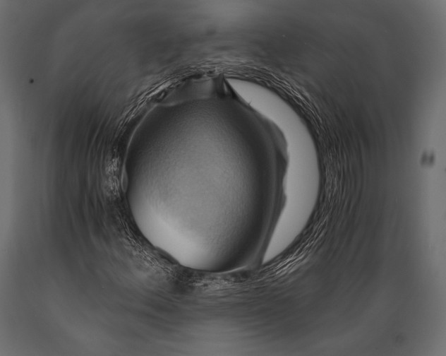 X0000088861156200706291511
