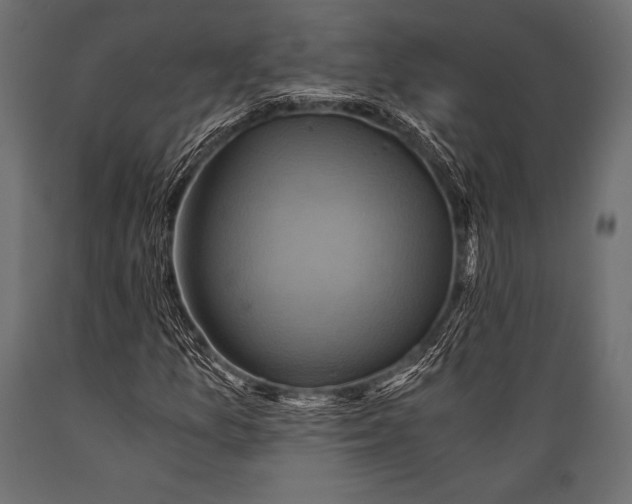X0000088861157200706291511