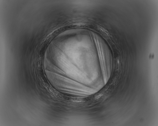 X0000088861158200706291511