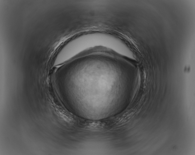 X0000088861160200706291511