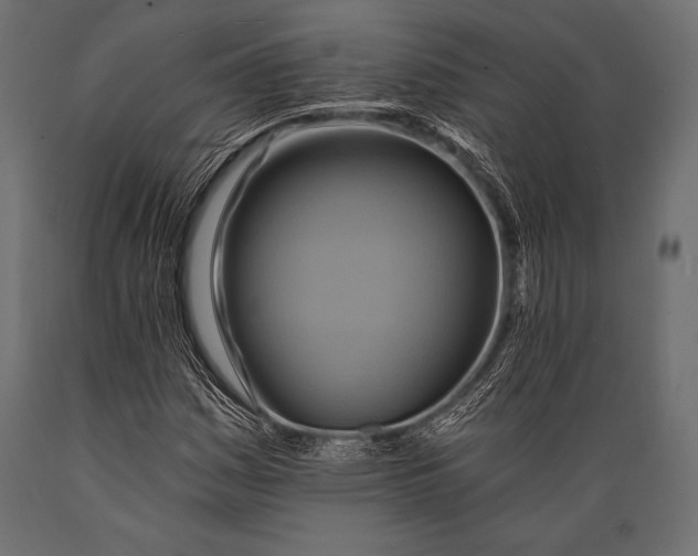 X0000088861161200706291511