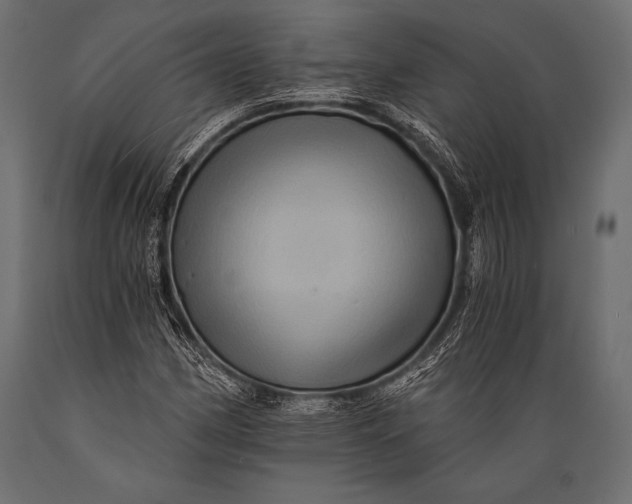X0000088861162200706291511