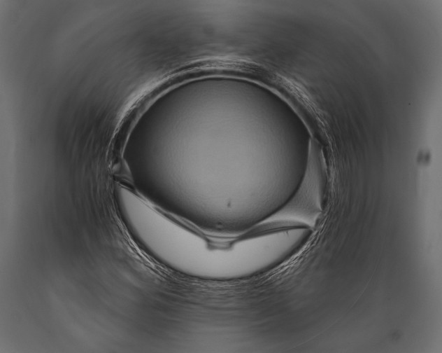 X0000088861164200706291511