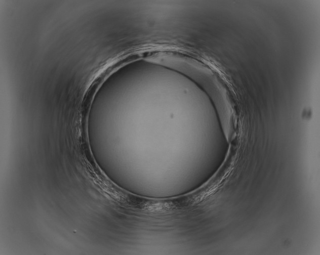 X0000088861165200706291511
