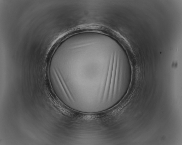 X0000088861166200706291511