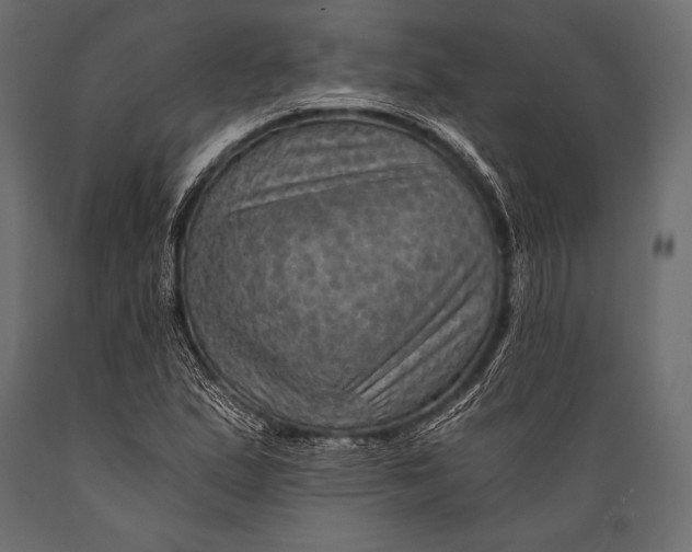 X0000088861167200706291511