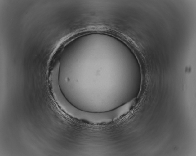 X0000088861168200706291511