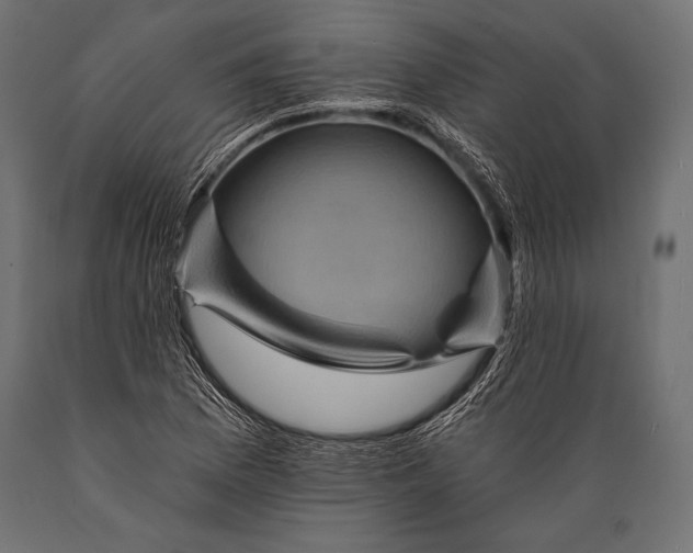 X0000088861169200706291511
