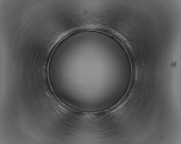 X0000088861170200706291511