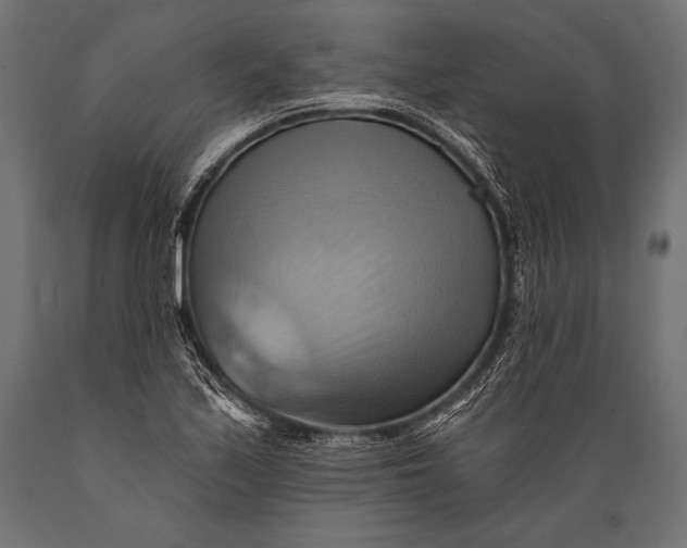 X0000088861171200706291511