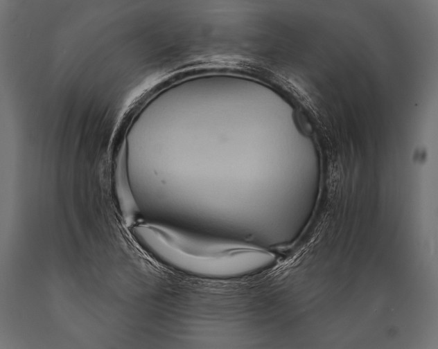 X0000088861172200706291511