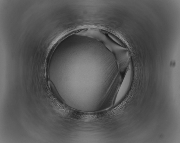 X0000088861173200706291511