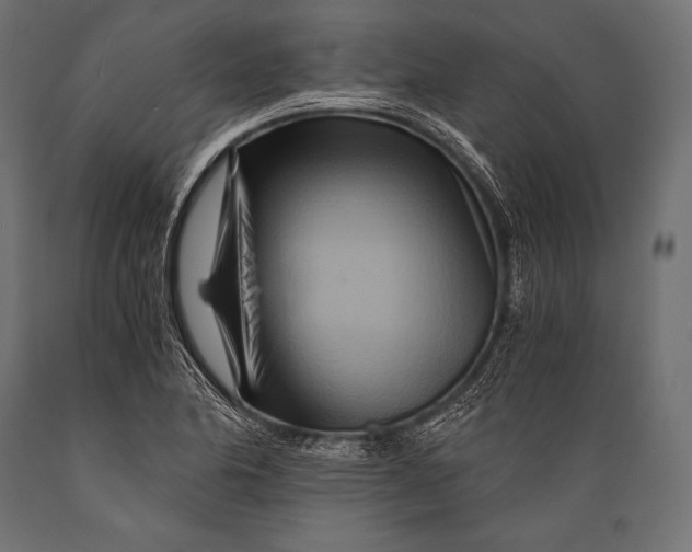 X0000088861174200706291511