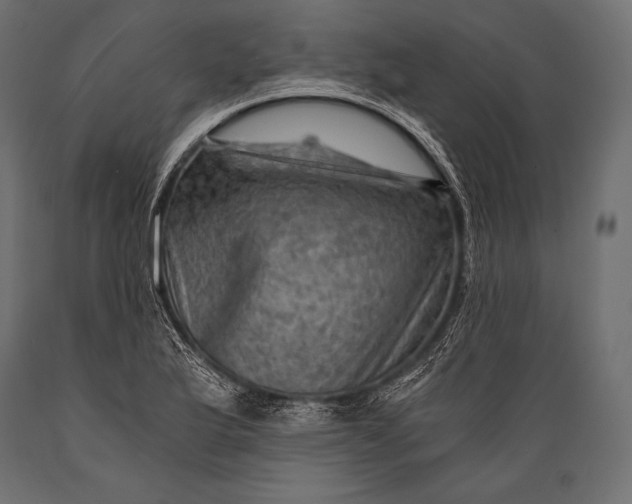 X0000088861175200706291511