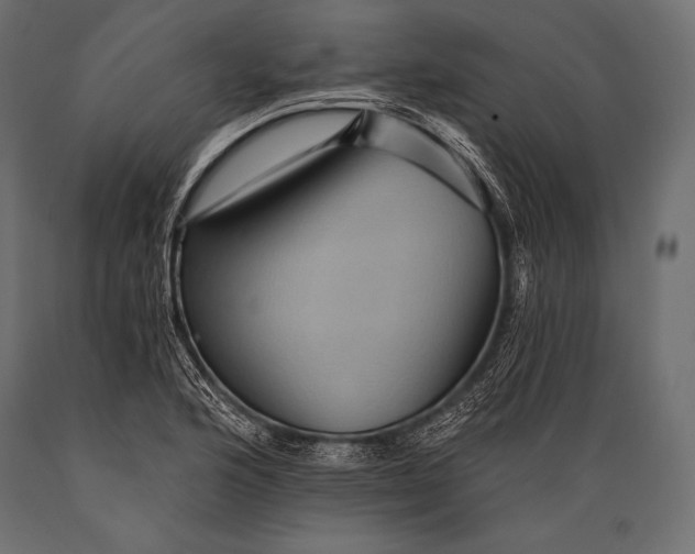 X0000088861176200706291511