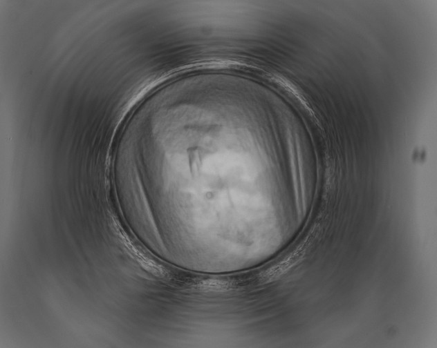 X0000088861178200706291511