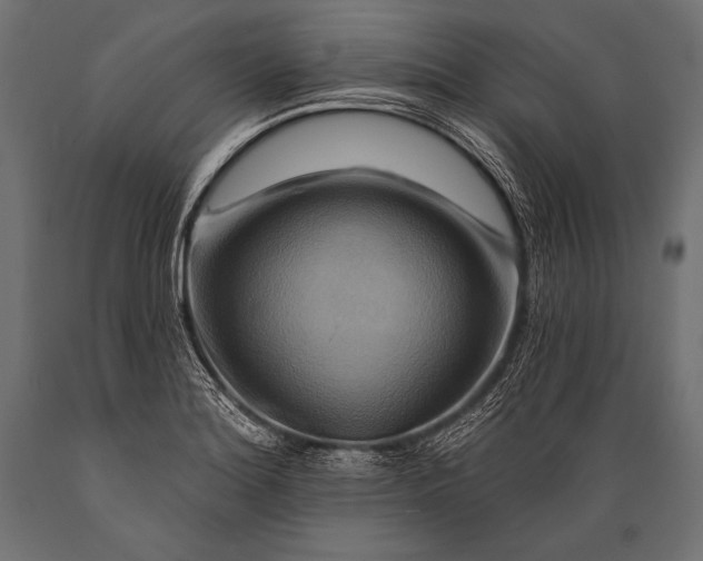 X0000088861180200706291511